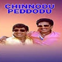Chinnodu Pedhodu Naa Songs