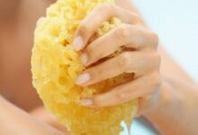 sea sponge bath