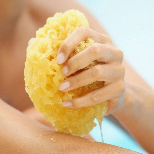 sea sponge bath